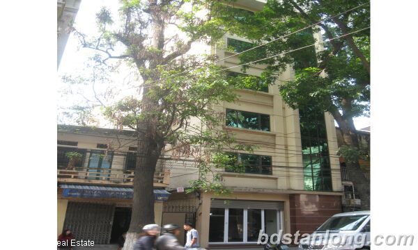 Apartment in Lo Duc, Dong Da, Ha Noi for rent 1