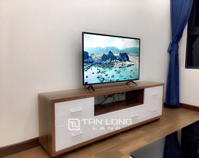 Nice apartment 2 bedroom for rent in Goldmark City! 2