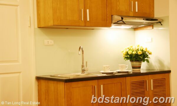 Studio apartments for rent in Le Duan street, Dong Da district, Hanoi 2