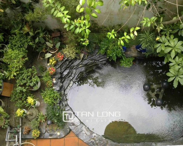 Well – appointed house in Doi Can street, Ba Dinh district for lease 1